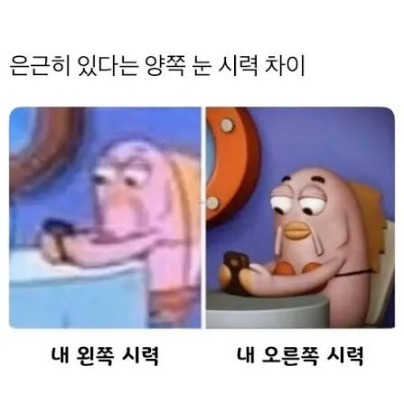 양쪽 눈 시력 차이를 비교하는 차트