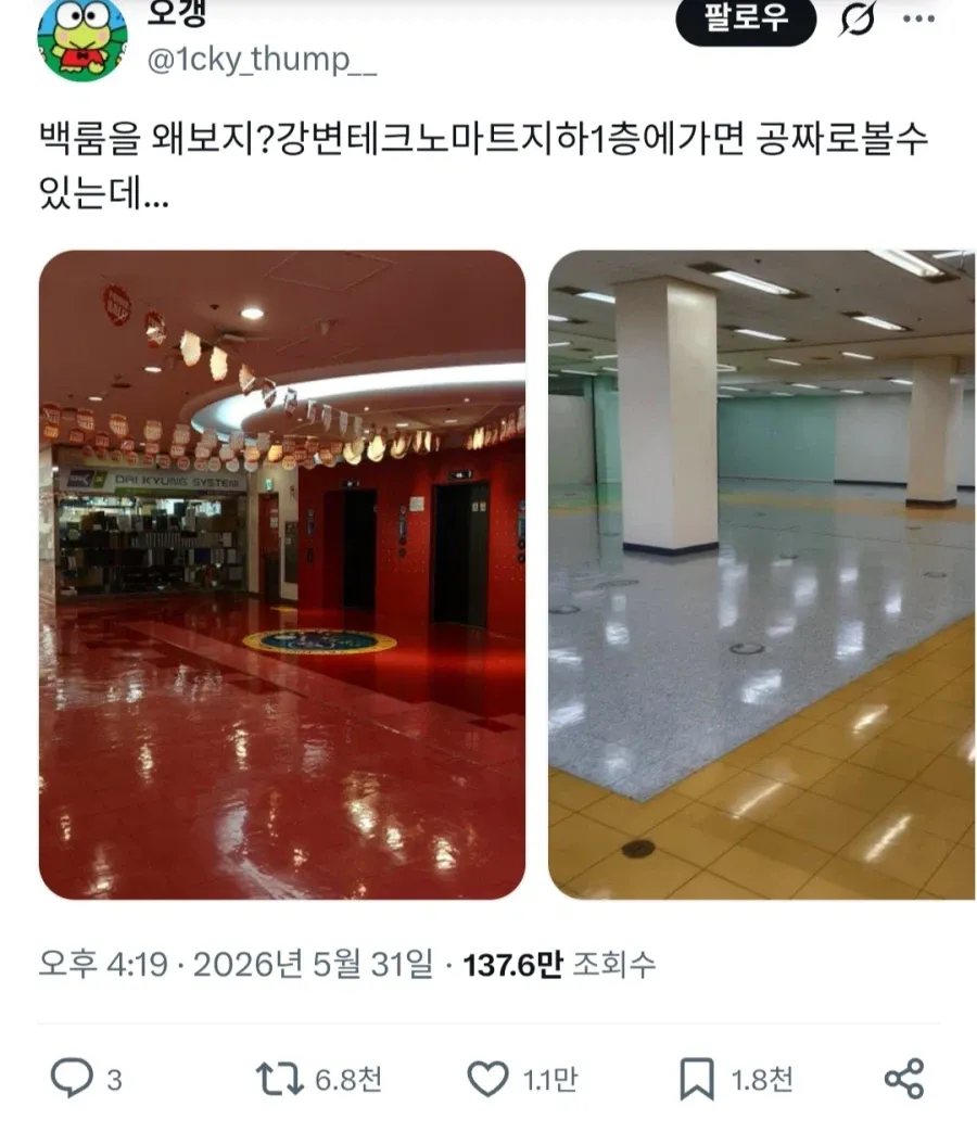 오깽의 트윗: 백룸을 강변테크노마트 지하1층에서 무료로 볼 수 있다