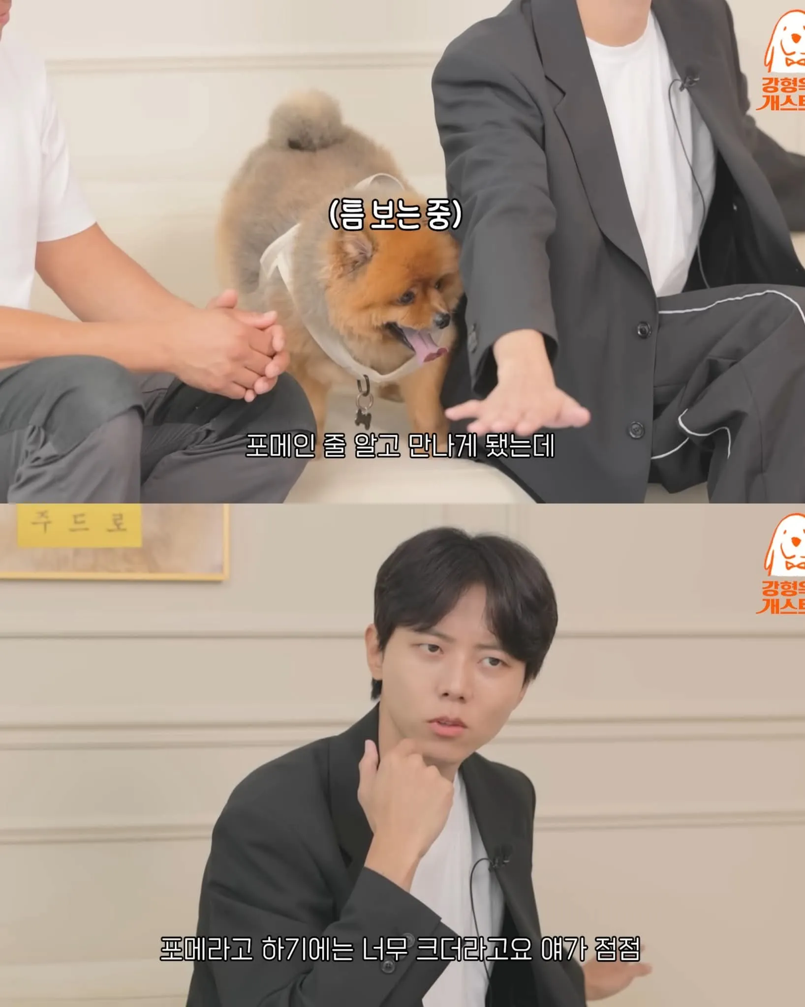 주우재가 키우는 포메라니언 개를 안고 있는 모습