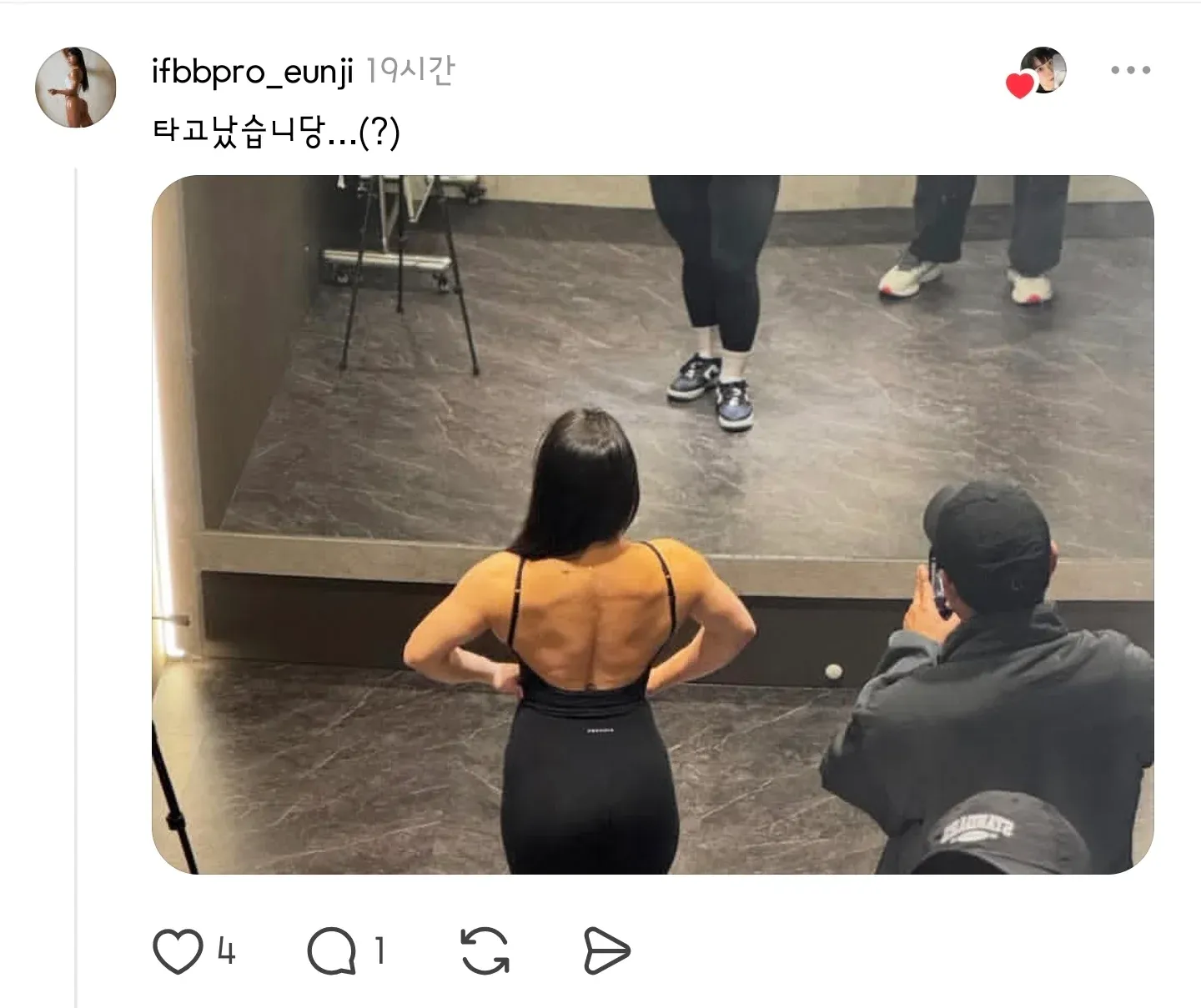 소셜 미디어 댓글 섹션에서의 광역 어그로 반응