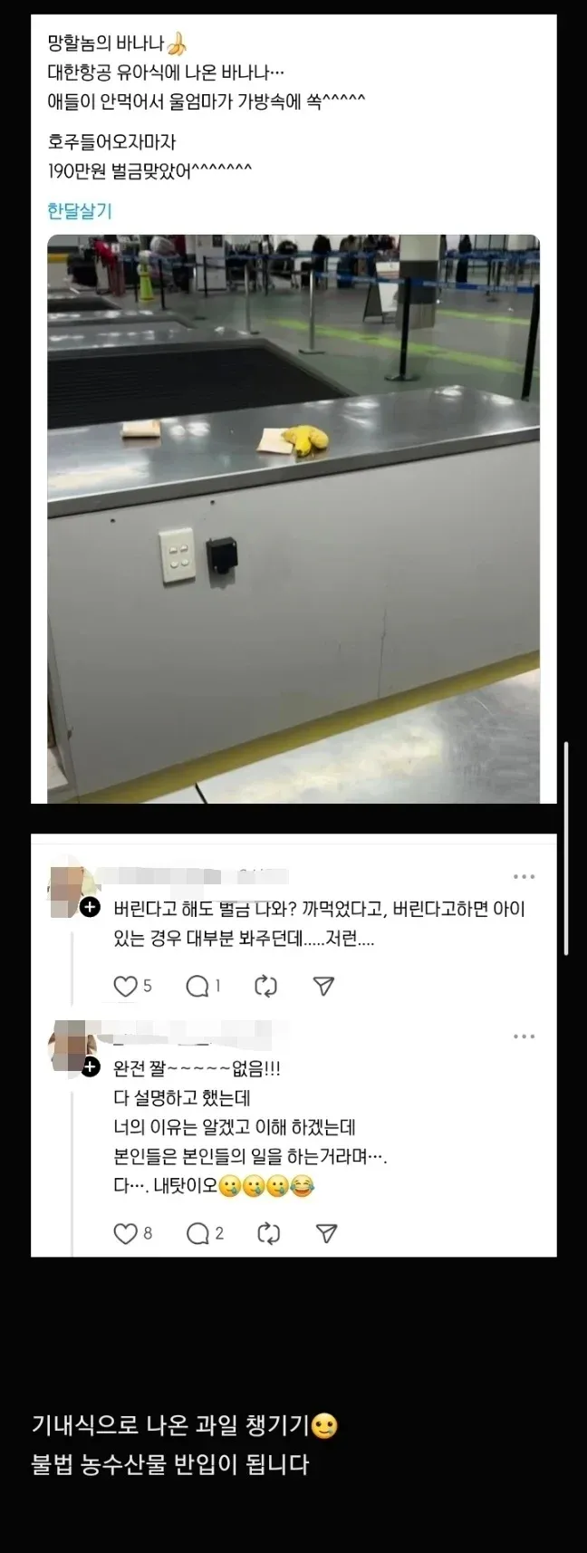 항공기 기내식 반입 금지 규칙과 벌금 사례를 설명하는 게시물