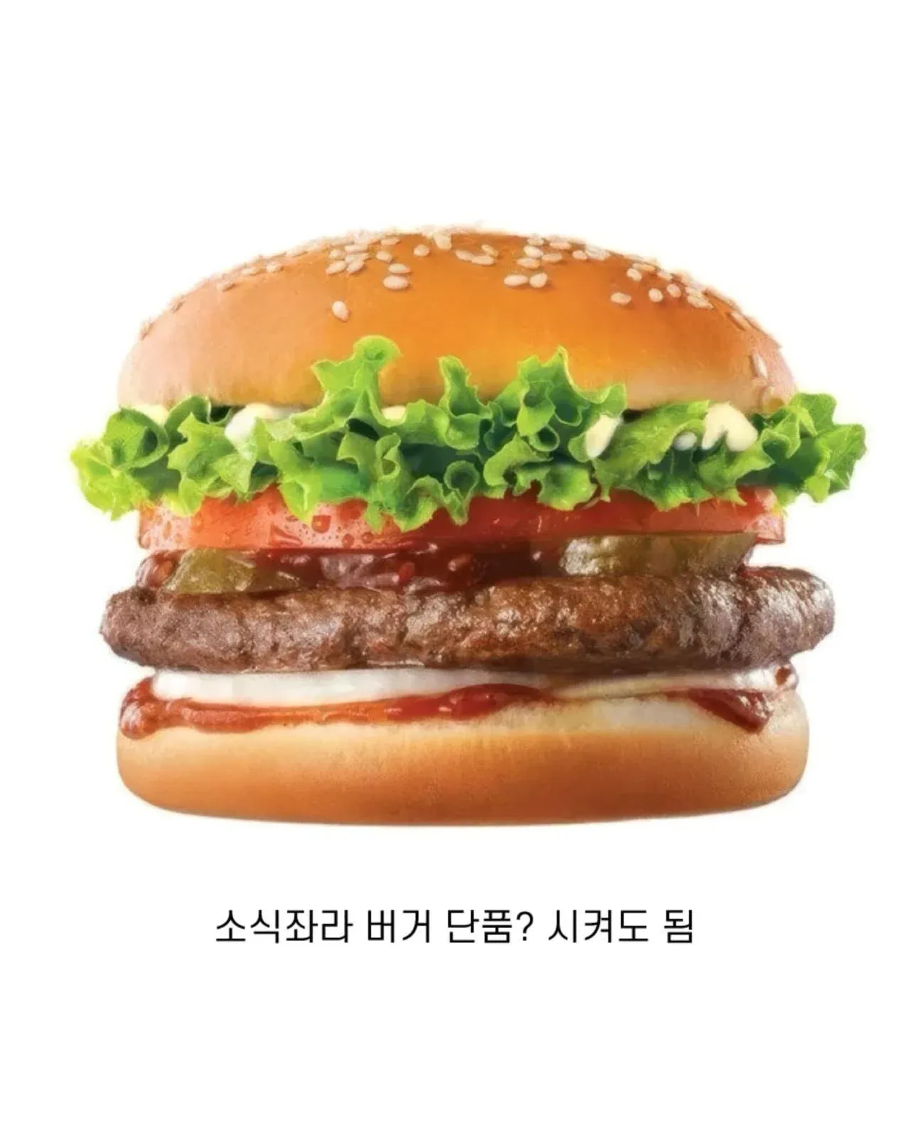 소식자라 버거 단품/세트 선택 가능