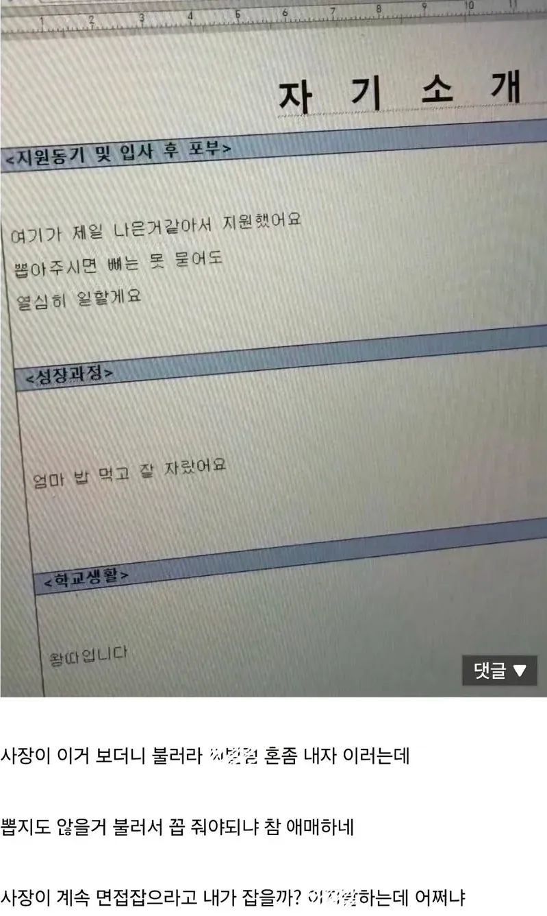 부실한 입사지원서를 본 사장의 화난 반응