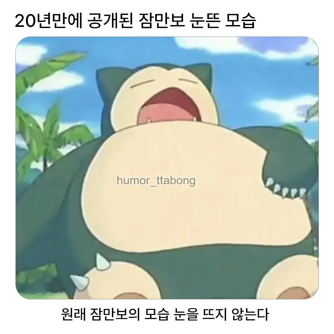 20년 만에 공개된 눈뜬 잠만보의 모습