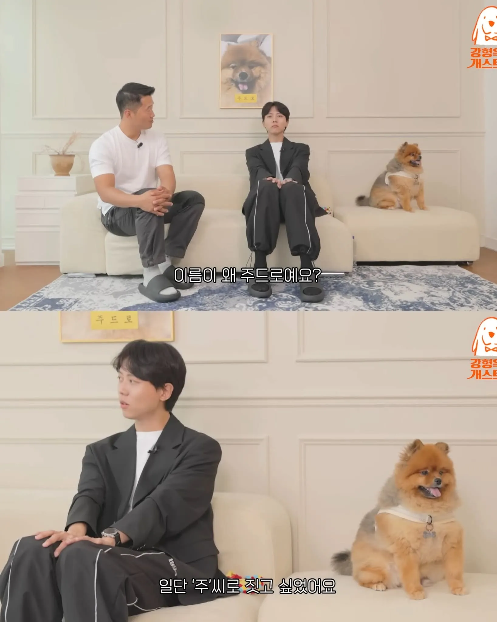 포메라니안 주드의 이름 유래를 설명하는 자막, '주씨'로 시작하고 싶었다는 내용