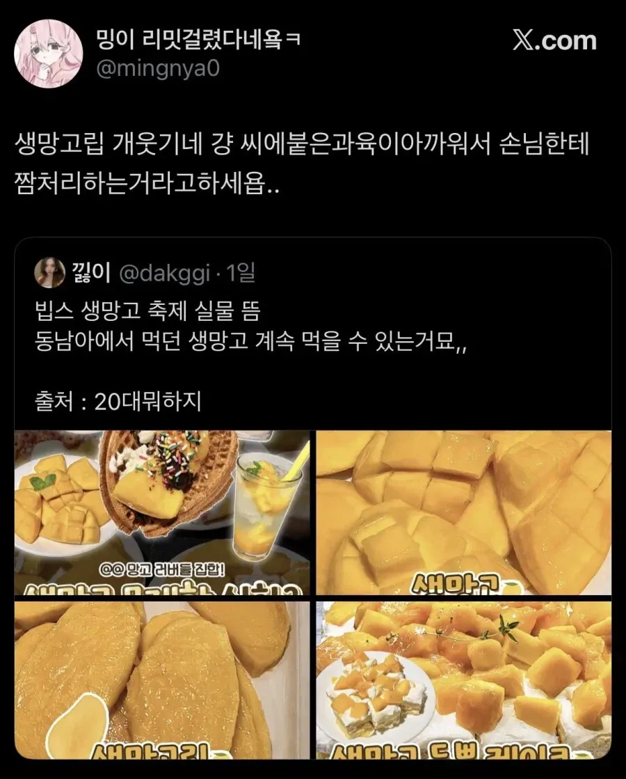 생망고 축제에서 판매 중인 신선한 망고