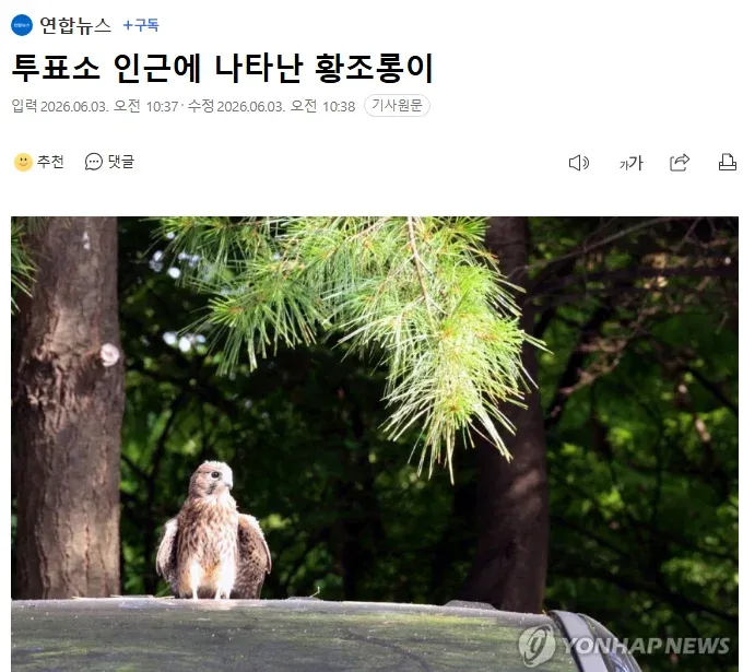 투표소에 나타난 화제의 상황 (연합뉴스)