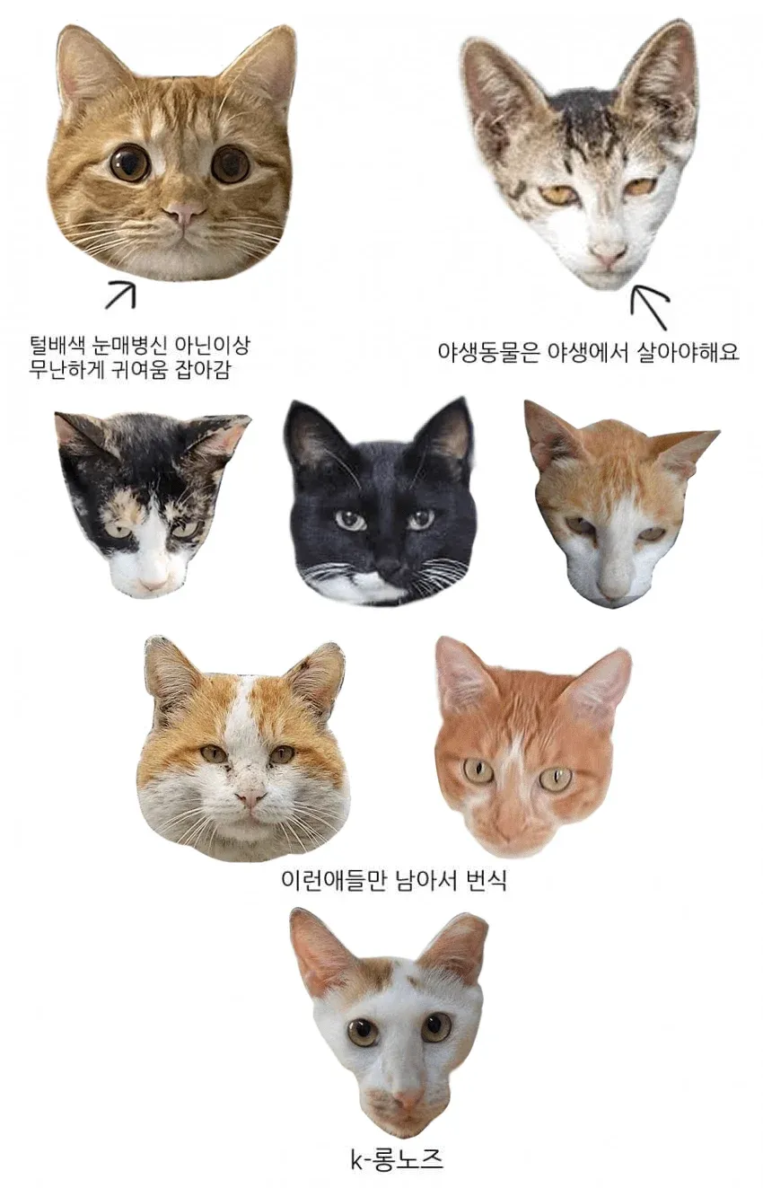 긴 코를 가진 야행동물의 귀여운 모습을 담은 실사 사진