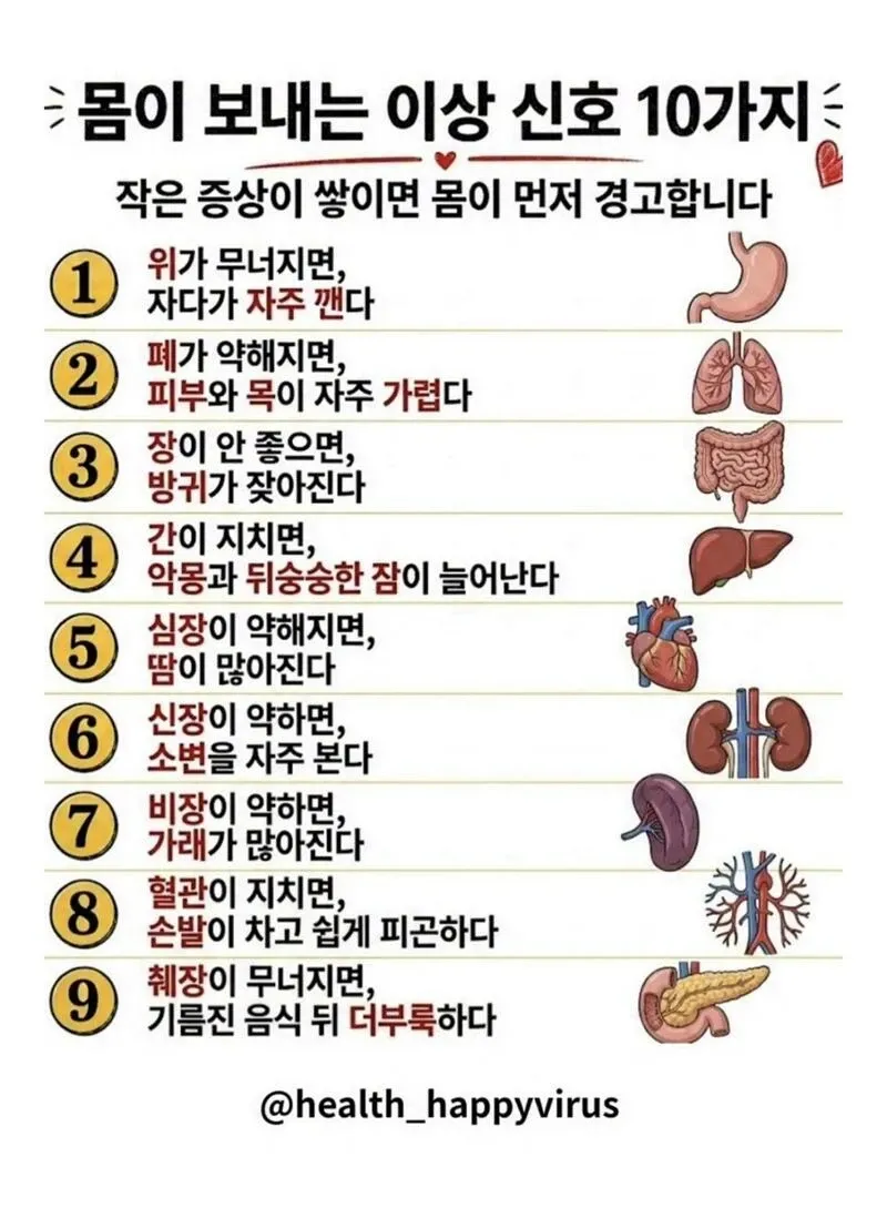 몸이 보내는 이상 신호 10가지 - 장기별 건강 증상 설명
