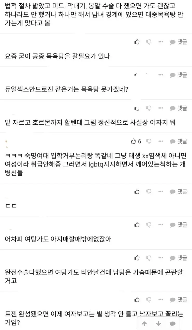 트렌스젠더 여탕 이용 논란에 대한 온라인 댓글 스크린샷
