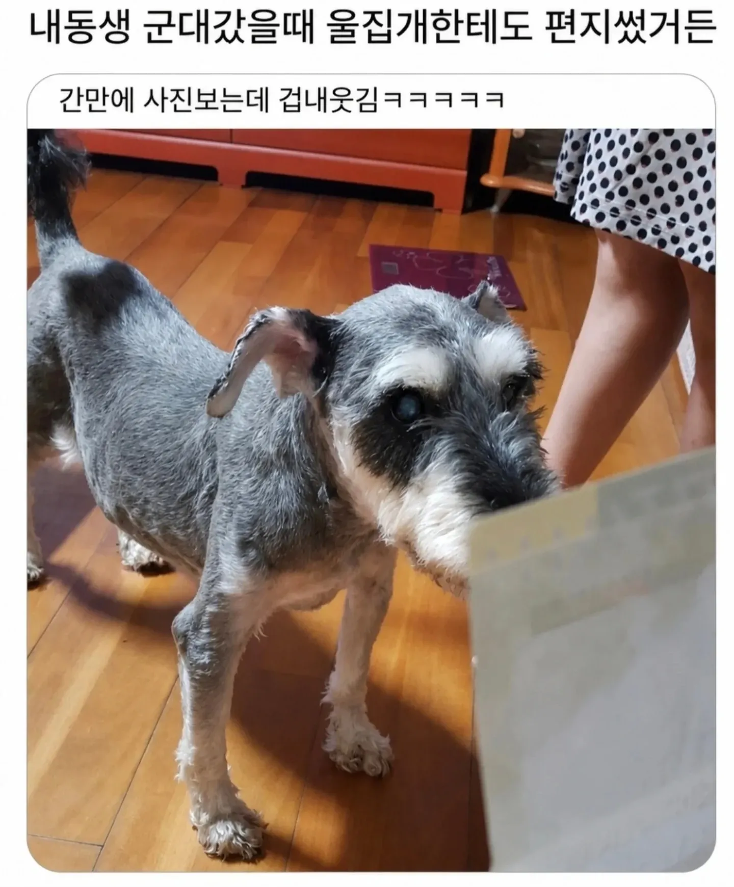 군대 간 동생이 집개에게 쓴 편지 사진