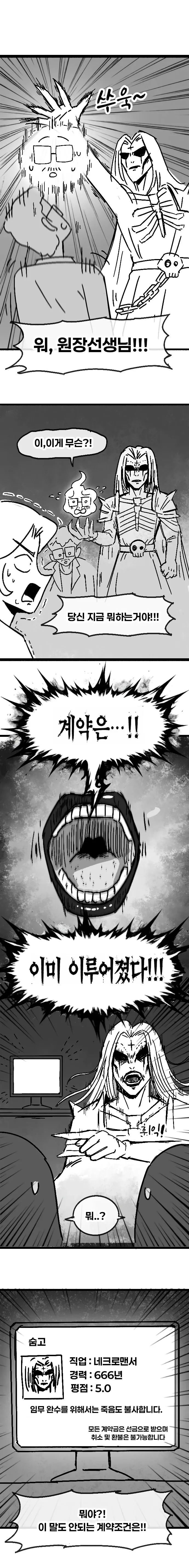 직업 정보 입력 실수: 네크로맨서, 경력 666년, 환불 불가