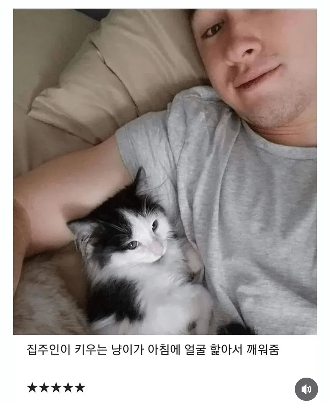 고양이가 아침에 손님의 얼굴을 핥아 깨워주는 모습