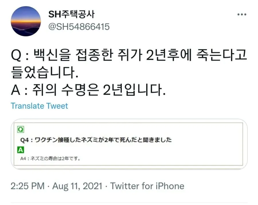 백신 접종 쥐의 수명에 관한 Q&A 스크린샷