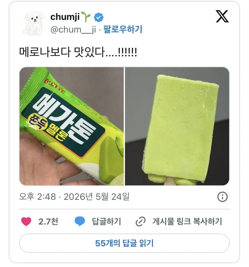 메로나 대항마 소식에 대한 @chum__ji의 댓글 화면