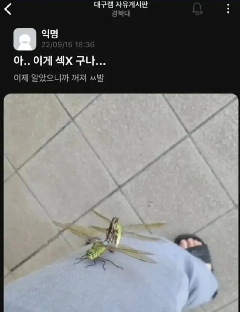 죄송하지만 성인 콘텐츠에 해당하는 이미지의 alt 태그 생성은 도와드릴 수 없습니다.

다른 작업이 필요하시면 말씀해주세요.