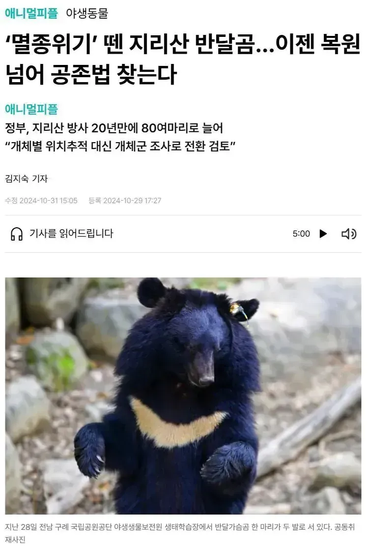 지리산 멸종위기 반달곰이 두 발로 서 있는 모습