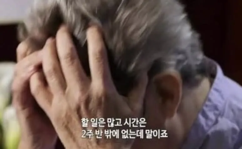 미야자키 감독이 일을 싫어하는 이유를 표현한 텍스트 이미지