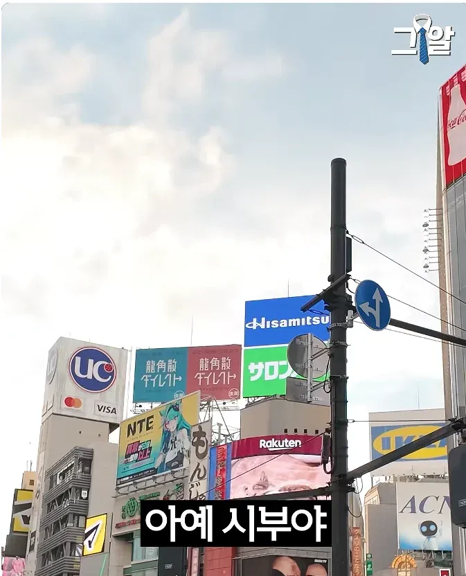 일본 여성의 남성 선호도 차트