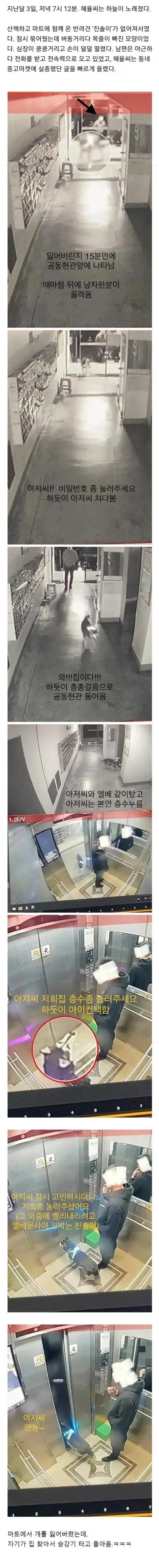 마트에서 실종된 반려견 찾기 공지 포스터