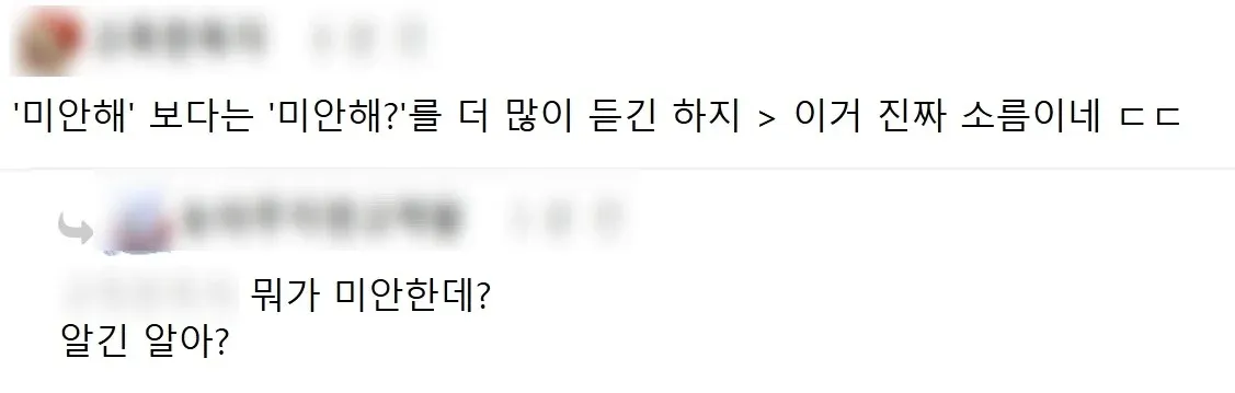 일본여자의 의사표현 방식에 관한 한국인 온라인 댓글