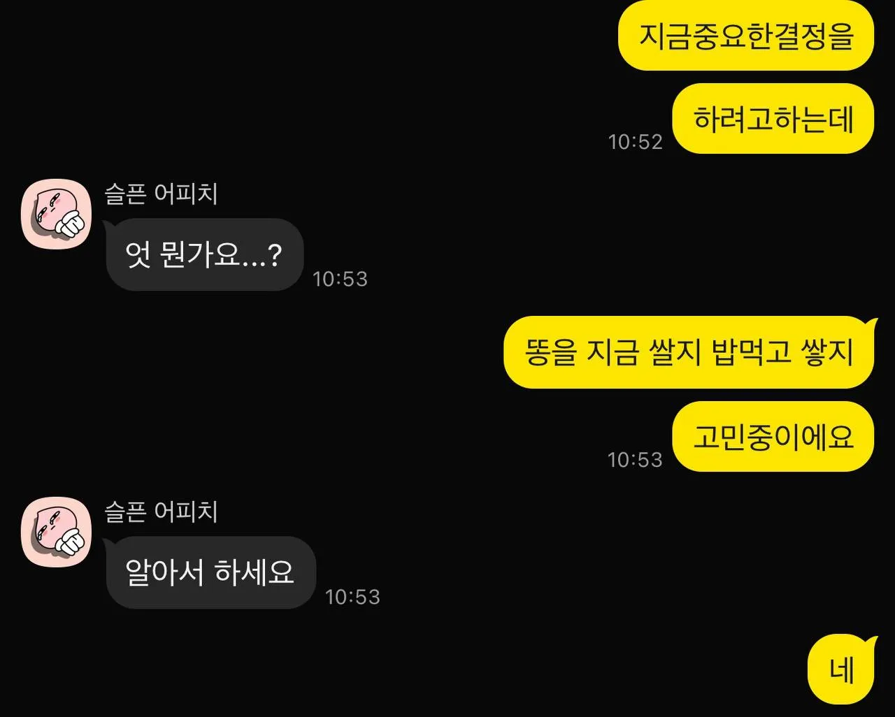 아내와의 카톡 대화. 중요한 결정에 대해 고민하는 웃긴 메시지들