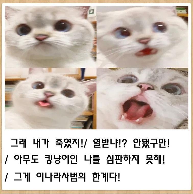 선거벽보 훼손범 처벌 불가 문제를 지적하는 만화