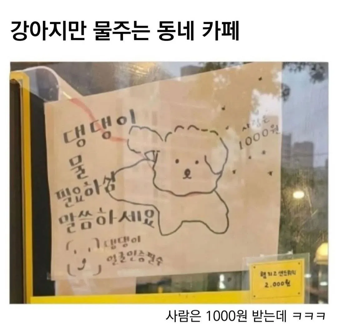 강아지는 물 무료, 사람은 1000원 받는 카페