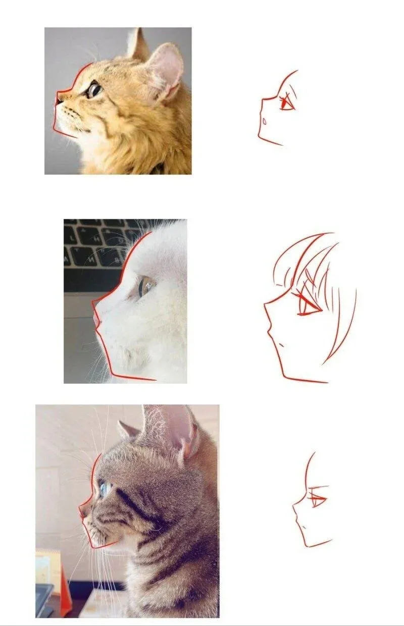 더 명확한 alt 태그를 생성하기 위해 다음 정보가 필요합니다:

1. **이미지 파일 경로** — 직접 이미지를 확인할 수 있습니다
2. **OCR 텍스트 재확인** — 현재 텍