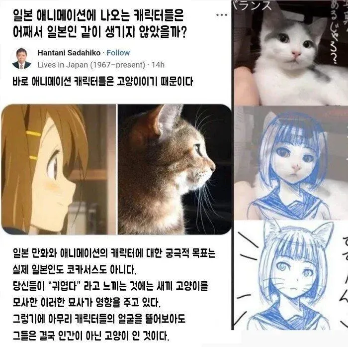 일본 애니메이션 캐릭터가 일본인처럼 안 보이는 이유를 설명하는 텍스트