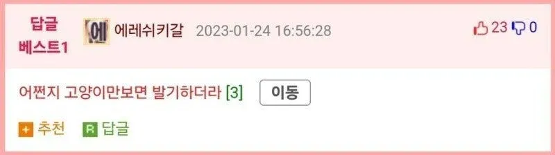 온라인 커뮤니티의 일본 만화 그림체 게시물과 고양이 관련 댓글