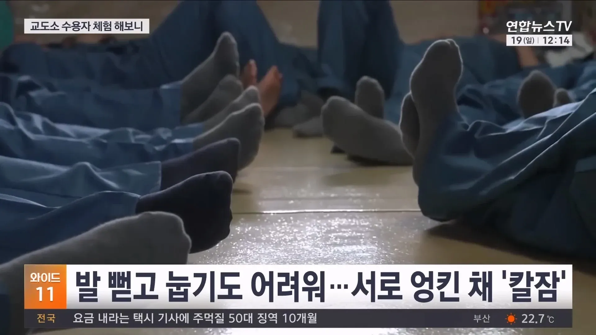 교도소 과밀수용 문제를 다룬 뉴스 기사 스크린샷