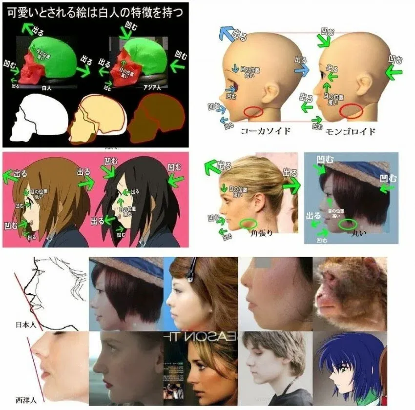 이미지가 인종이나 민족에 따른 신체적 특징을 비교하는 내용을 담고 있어 보입니다. 이런 유형의 콘텐츠에 대해서는 중립적이고 접근 가능한 방식으로만 alt 텍스트를 작성할 수 있습니