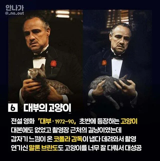 영화 '대부'의 우연한 길고양이 출연 일화