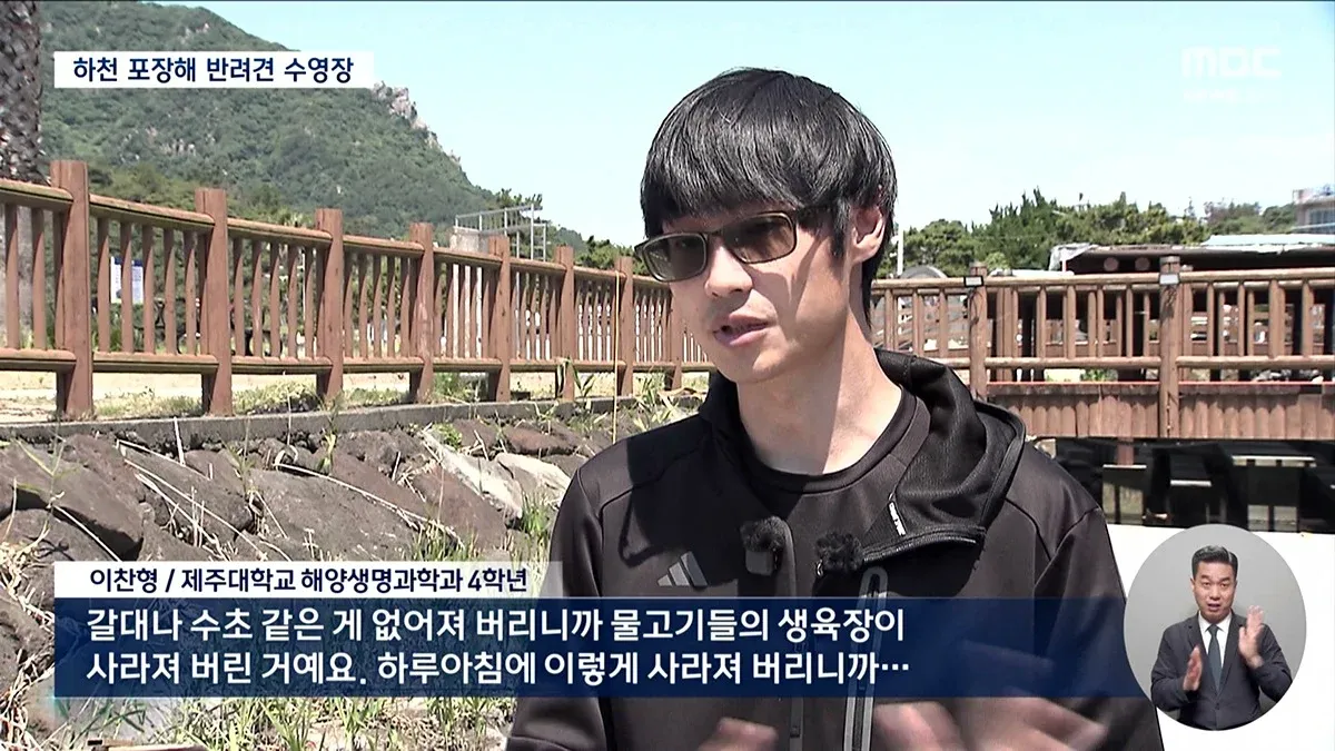 하천에 시멘트를 포장해 강아지 수영장을 만드는 천변 공원 개발