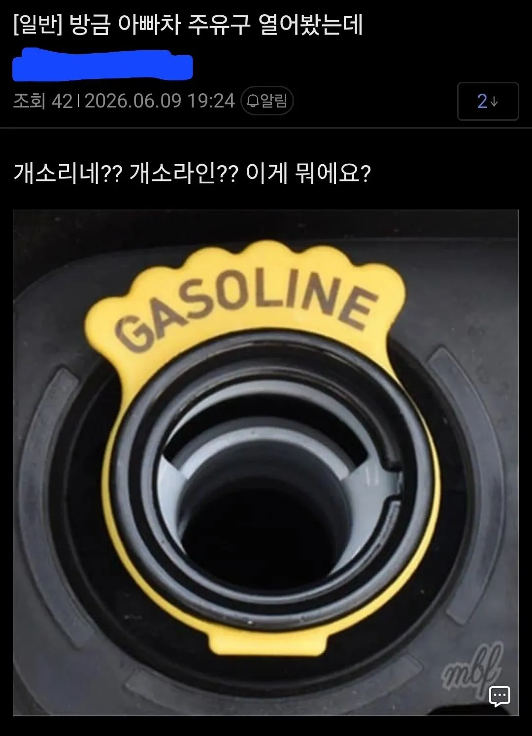 아빠 차 주유구 열었을 때의 게시글 스크린샷