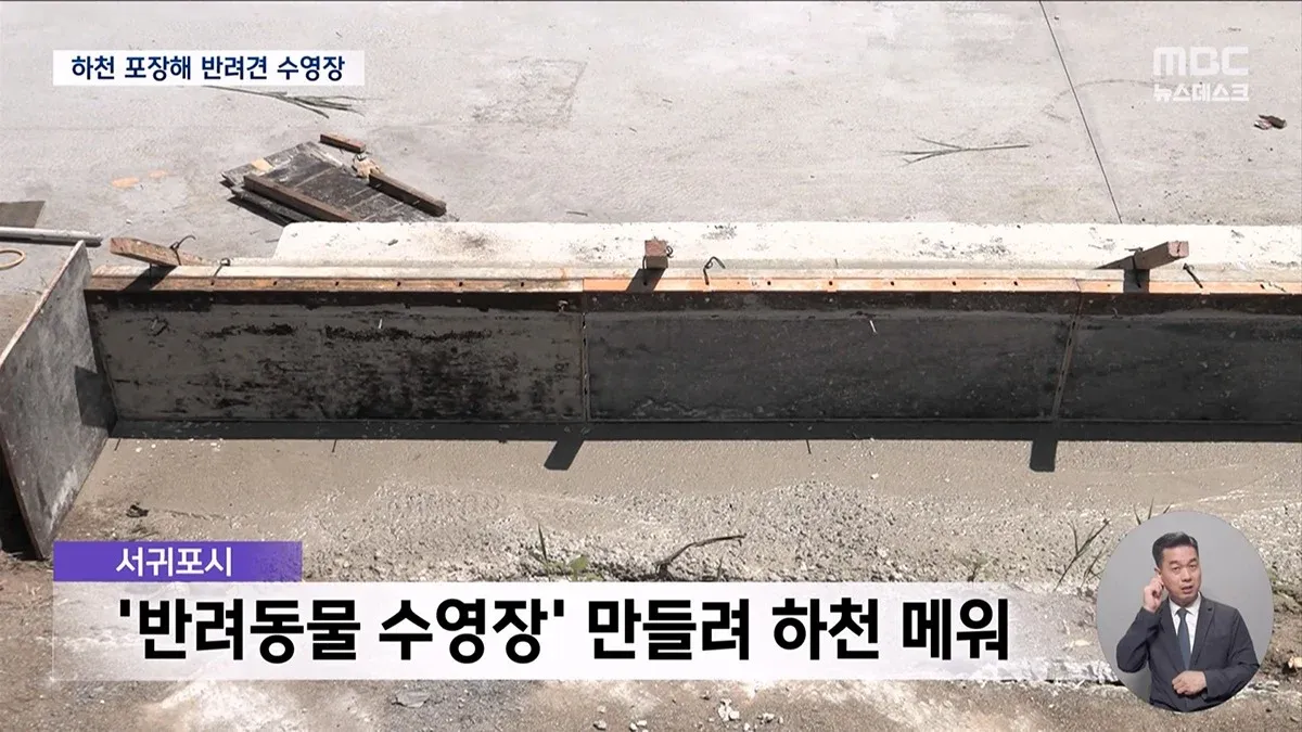 강아지 수영장을 위해 하천에 시멘트로 포장하는 장면