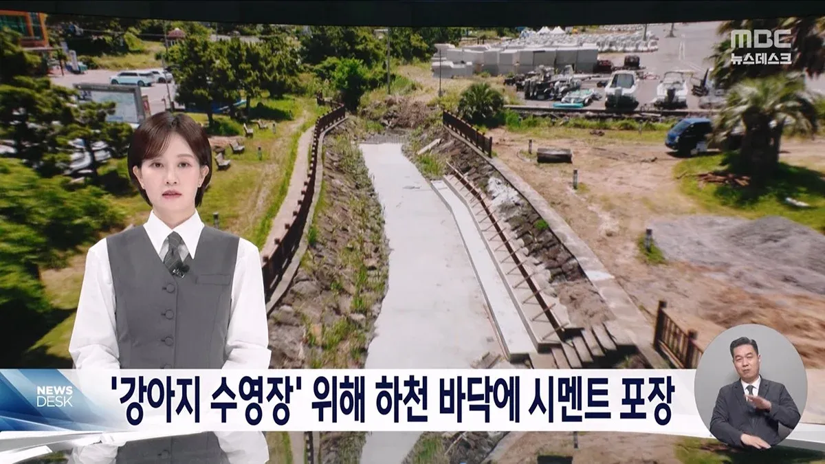 강아지 수영장을 위해 시멘트로 포장된 하천 바닥