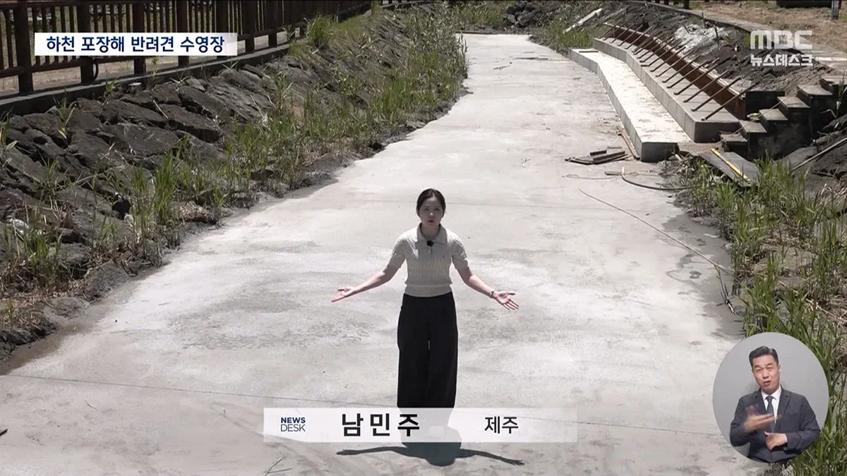 제주 강아지 수영장을 위해 시멘트로 포장된 하천