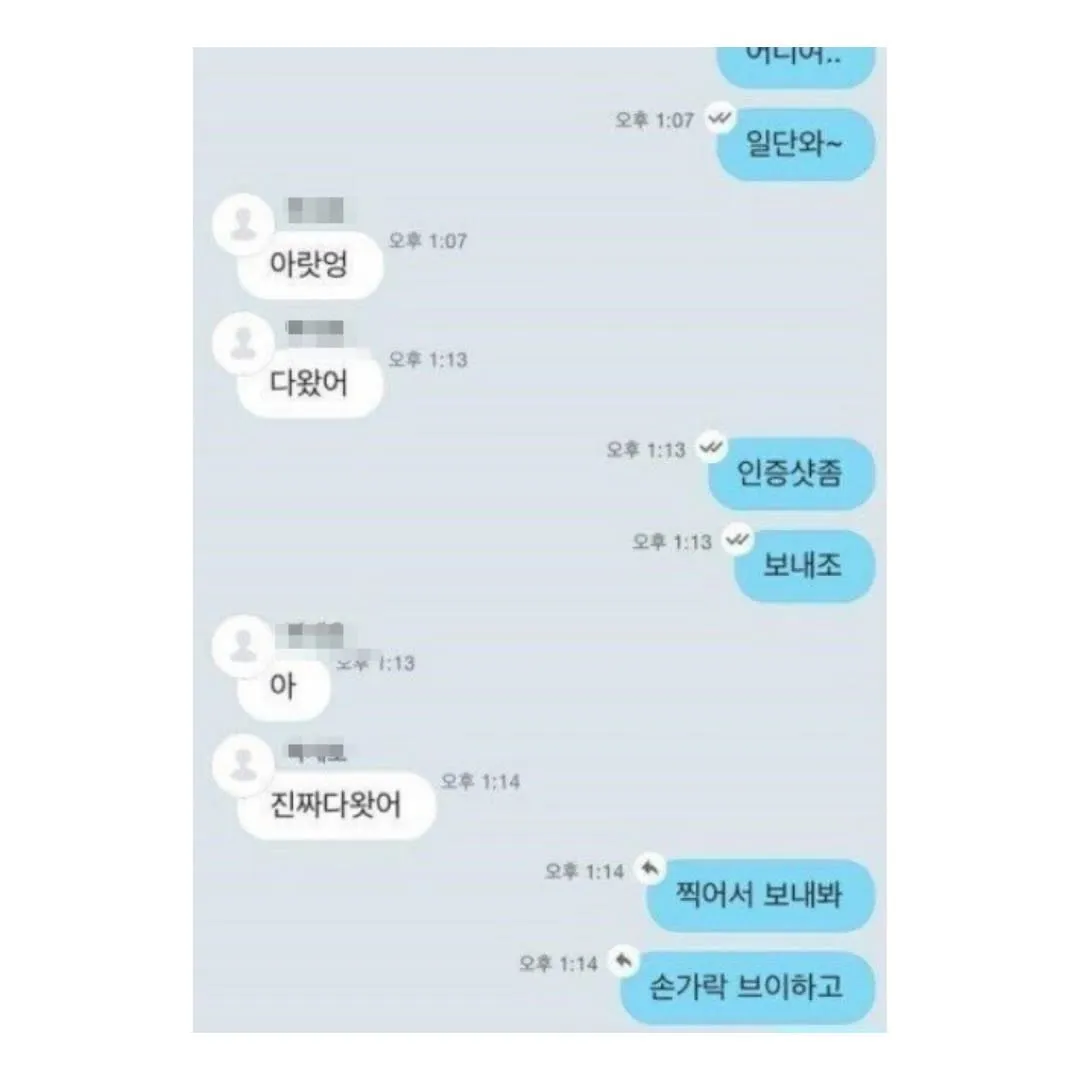 인증샷을 요청하는 채팅 메시지