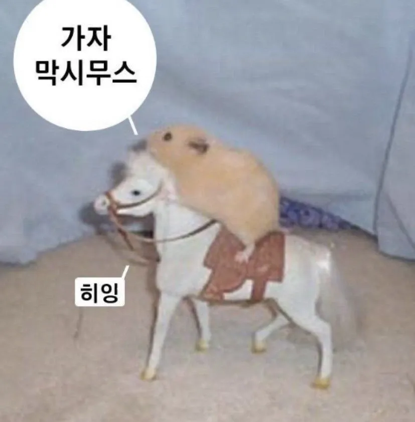 컴본갤의 현자, 엘든링 캐릭터 가자 막시무스 희잉