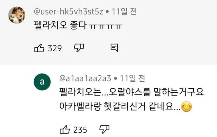 한국 댓글 - 펠라치오와 아카펠라 착각 대화