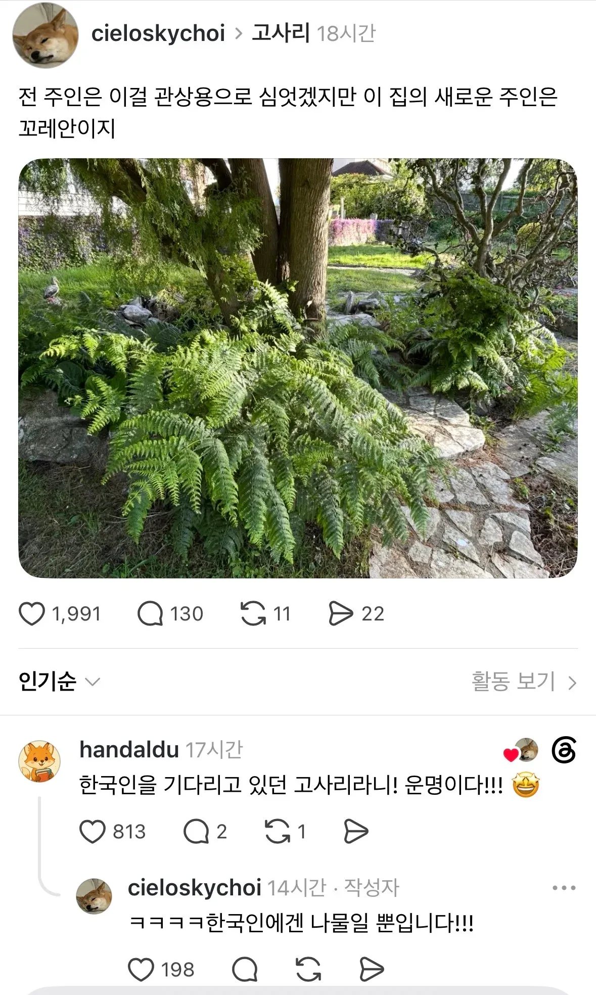반려동물 이전 주인에 관한 소셜 미디어 댓글 스크린샷
