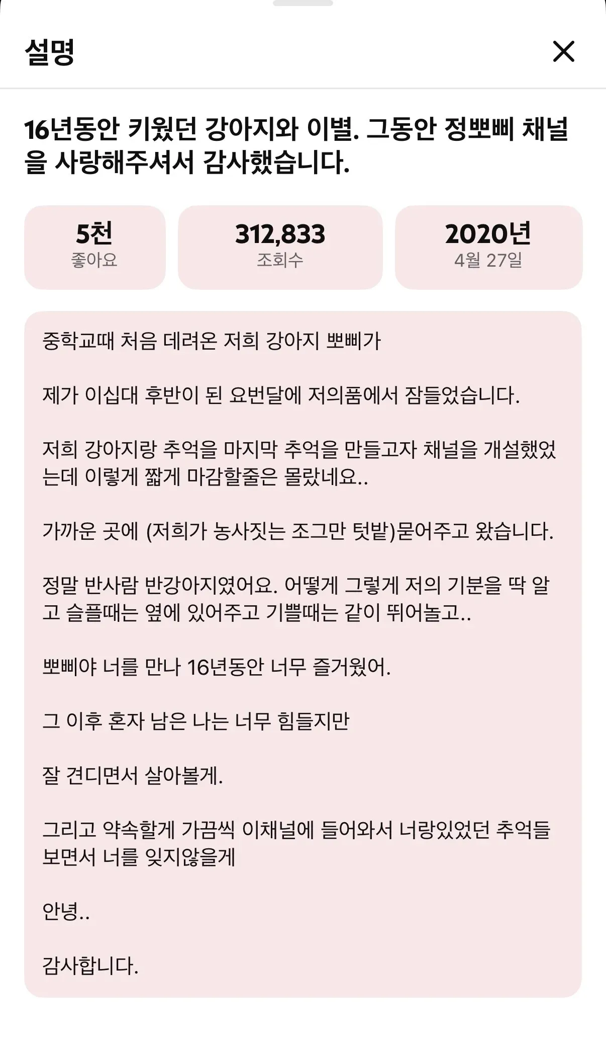 16년을 함께한 강아지 뽀삐와의 이별을 다룬 추도문