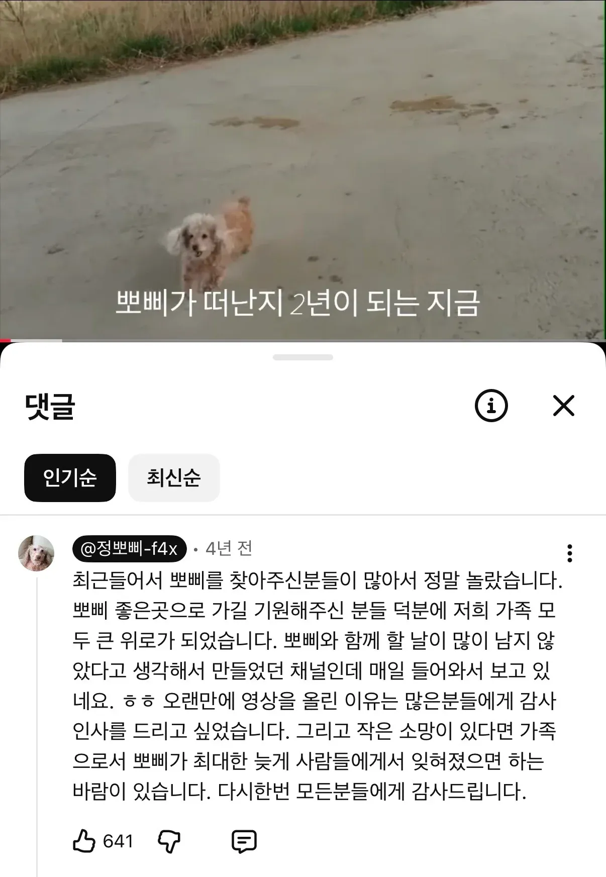 반려견 뽀삐를 추모하는 가족의 영상