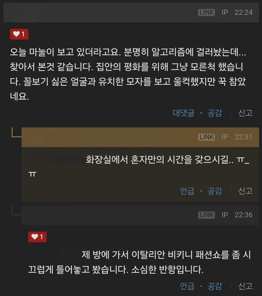 집안 불편함에 대한 소심한 반항을 표현한 댓글