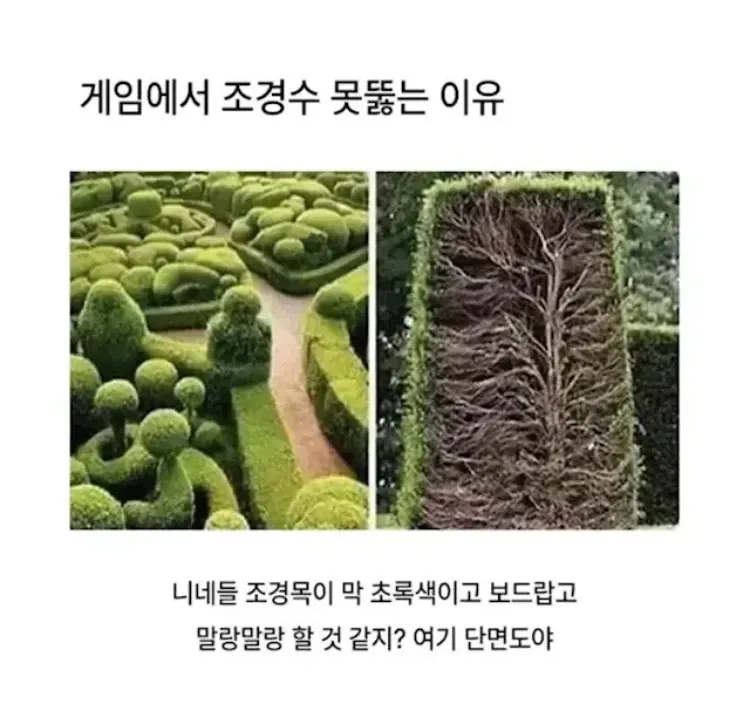 게임 조경수의 단면도 - 뚫 수 없는 이유 설명