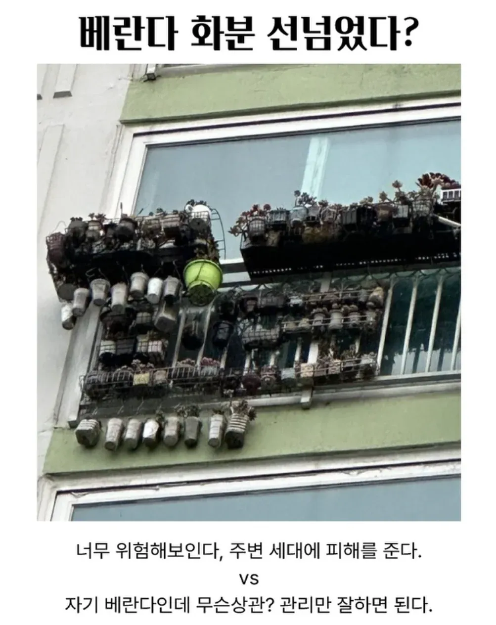 베란다 화분 안전성 논쟁: 위험 우려 vs 개인 자유 주장