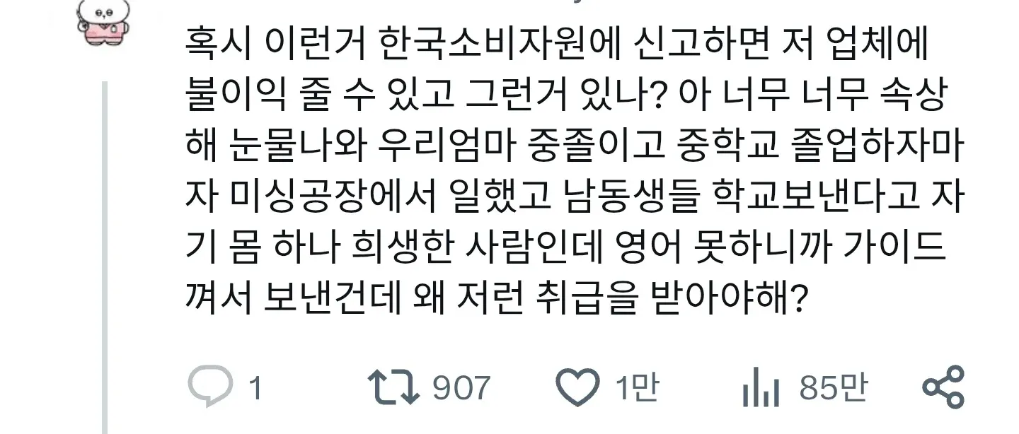 영어 못한다고 무시하는 관광 가이드로부터 받은 차별 경험과 소비자원 신고 방안에 대한 분노
