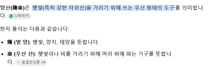 햇빛을 가리는 우산 '양산'의 한자 의미와 미국 트렌드 설명